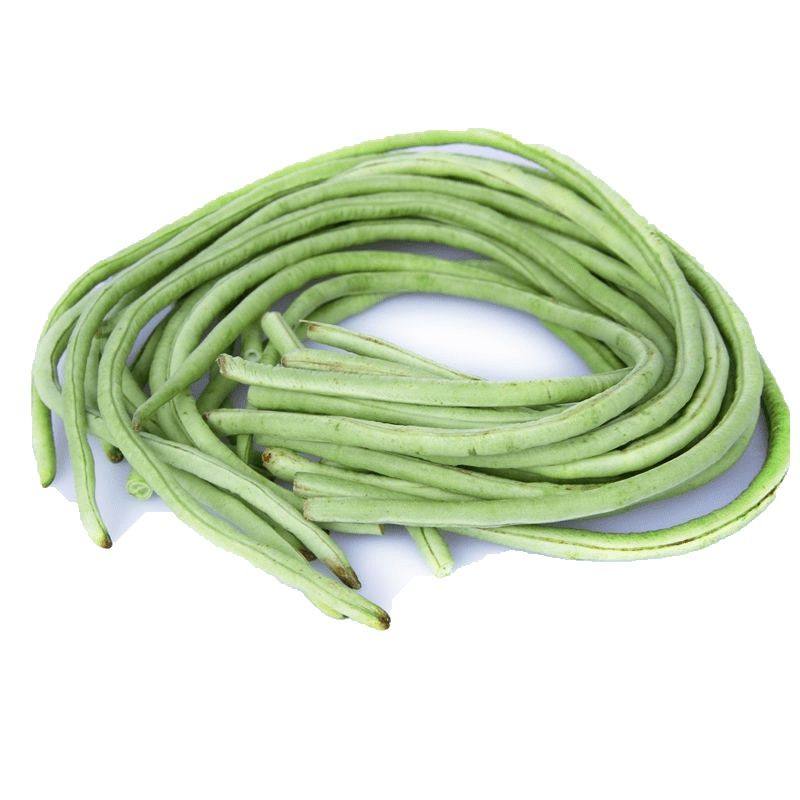 蔬菜种子无架豆角豇豆矮蔓一号40克早熟熟肉家庭园艺种子