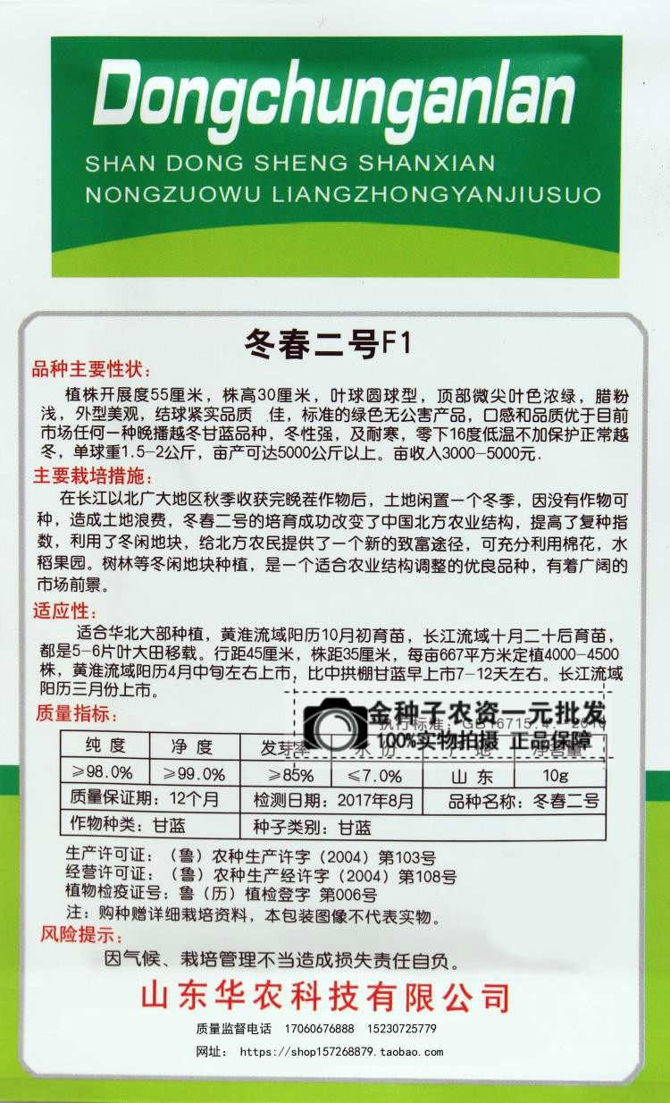 冬春二号f1越冬甘蓝冬季高产早熟包头菜包心菜种子耐低温零下16度