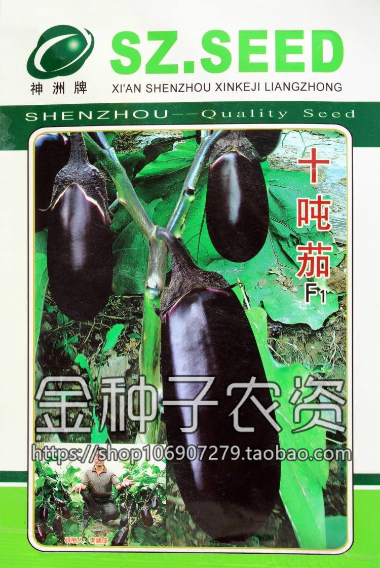 十吨油罐特大牛心种子紫皮籽少矮瓜紫红茄子家庭园艺种子