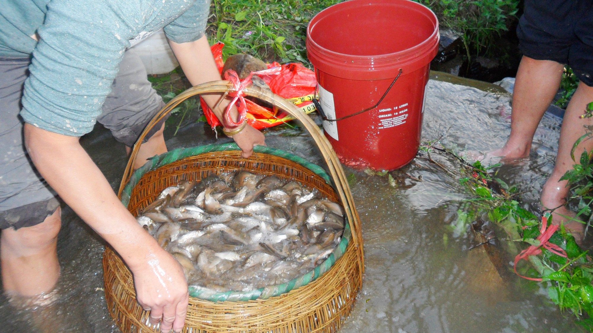 贵州黔东南黎平特产农家手工烟熏田鱼小干鱼半斤中国好评如潮热销
