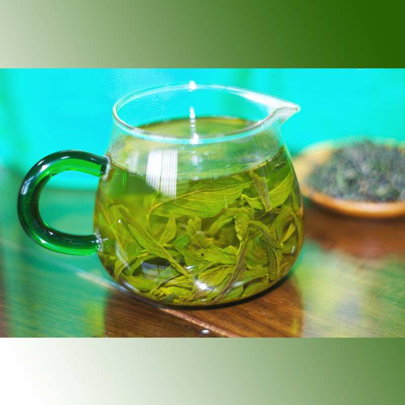 崂山现货青岛野生茶甘枣叶芊罗野茶2022新茶其它绿茶