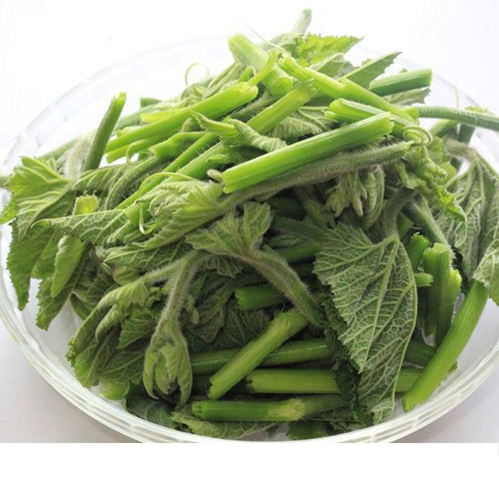 新鲜四川冬寒蔬菜马蹄东汉菜东苋菜糯米野菜叶菜类