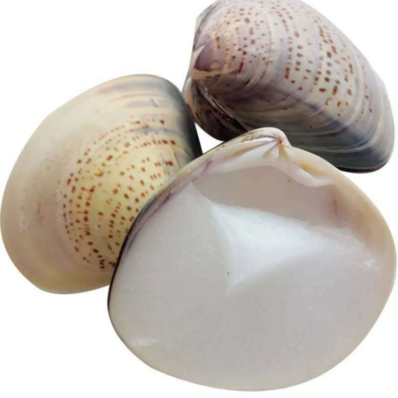 5个正品防裂哈利上海护手哈喇国货蛤蜊贝壳护手霜