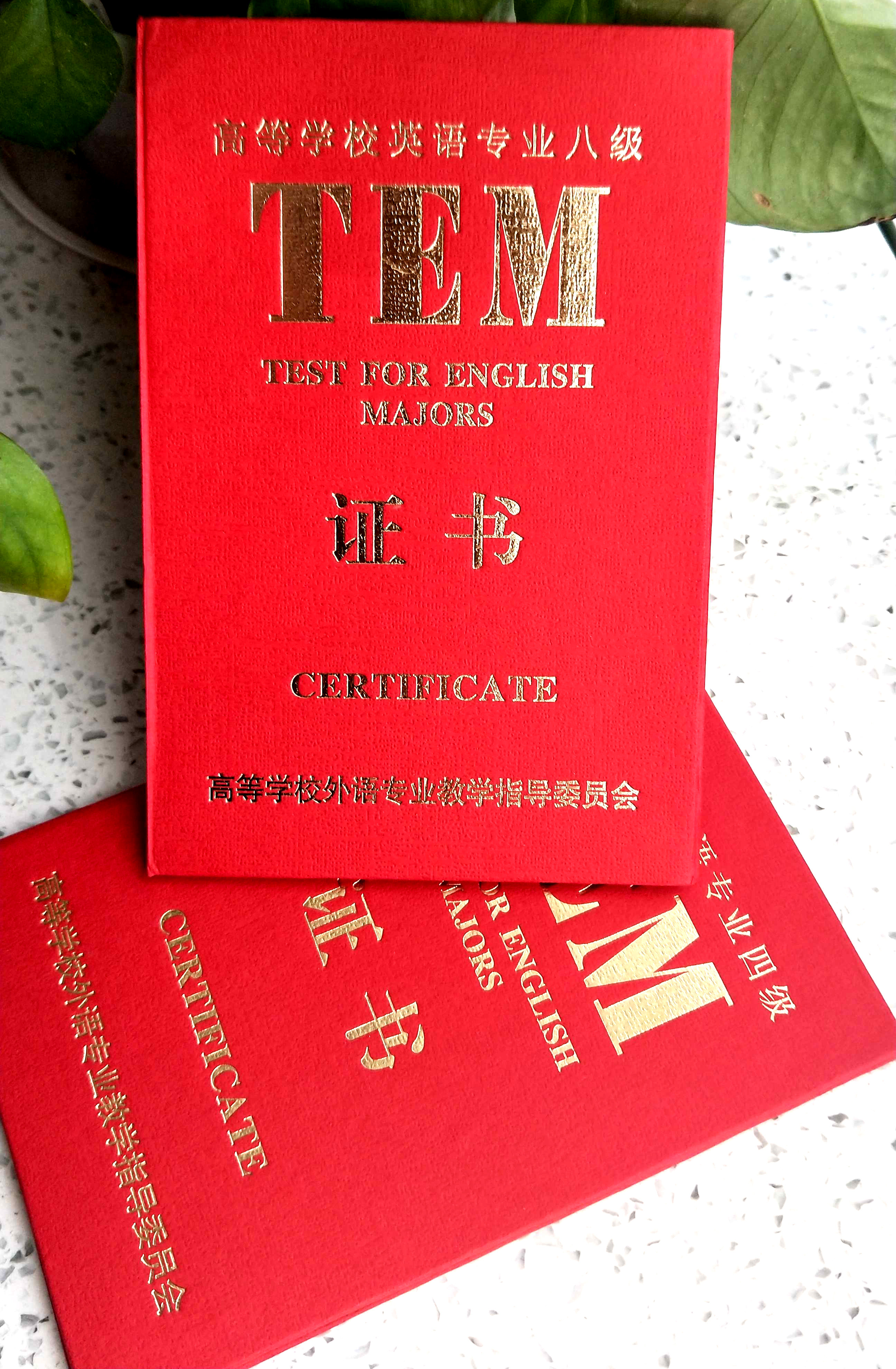 新款大学英语四专tem皮套德语法语日语俄语外语奖状