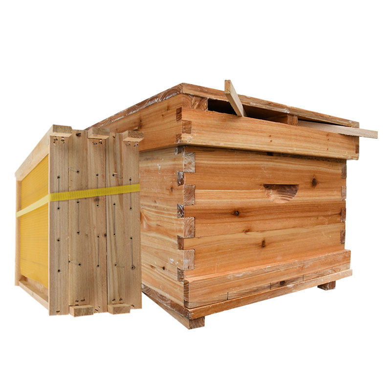 蜂箱全套中蜂蜂箱蜜蜂箱防晒隔热防雨养蜂箱蜜蜂蜂箱全套巢框套餐