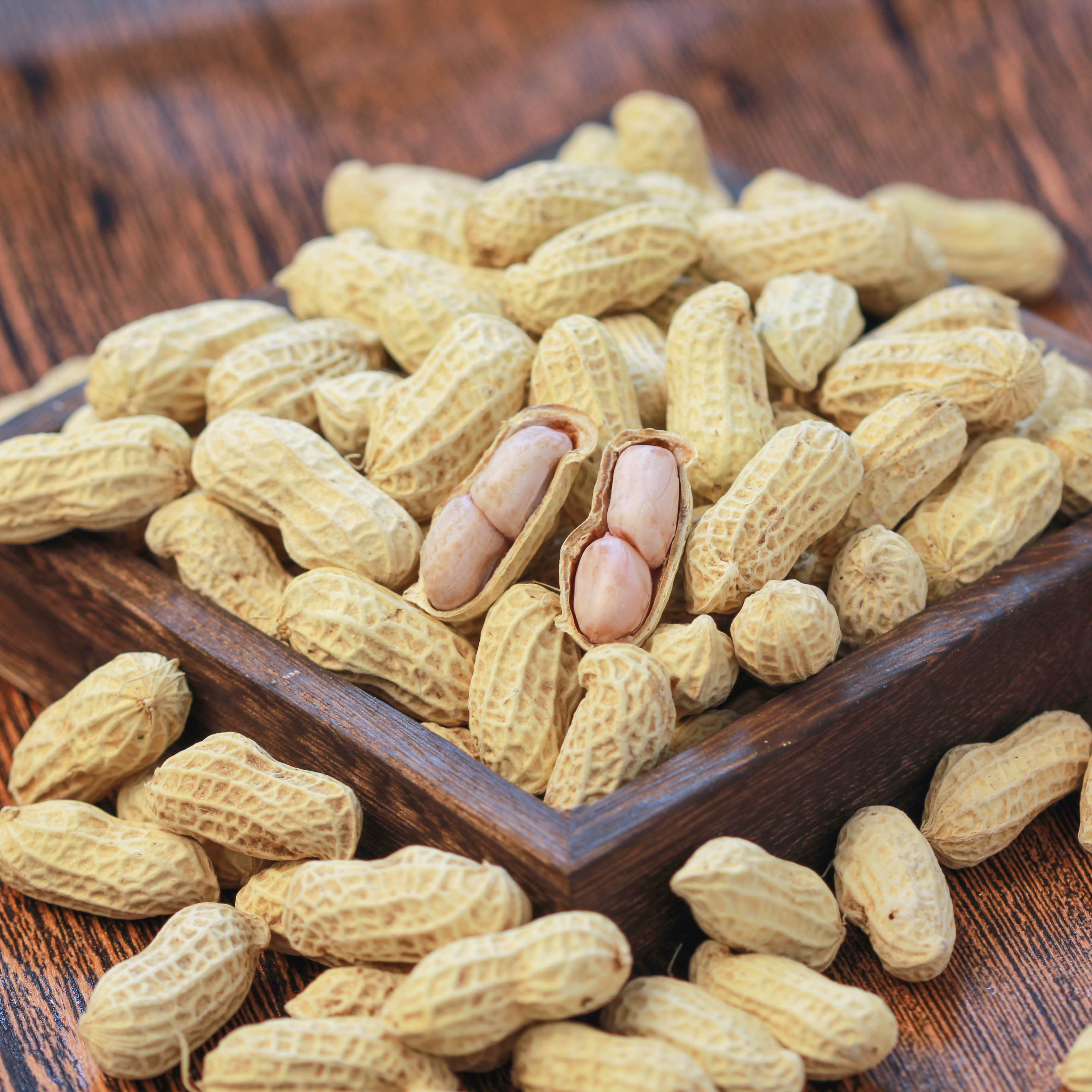 花生爱尝龙岩批发福建特产水煮香味湿烤咸干花生