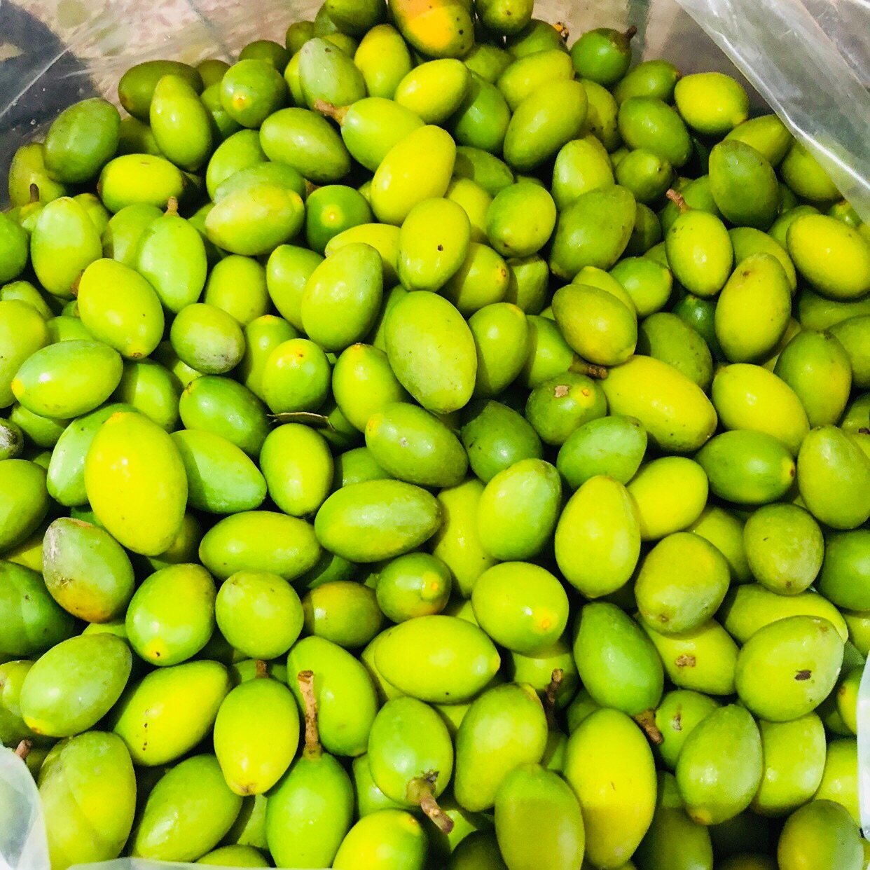 橄榄正宗潮州甜种老树潮汕青皮黄豆花生现摘创意礼盒