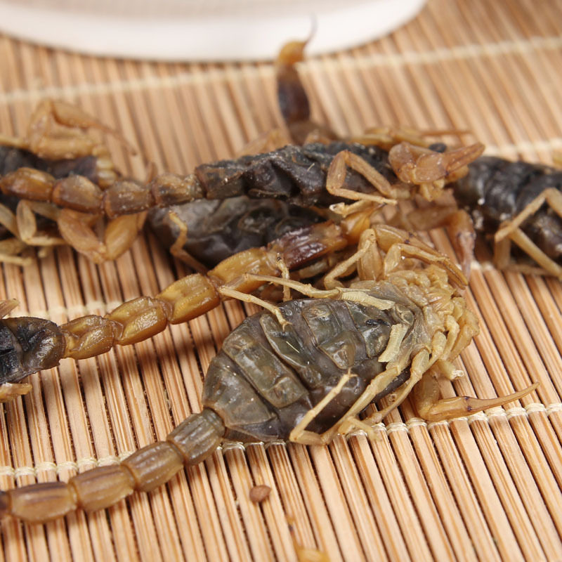 中药材蝎子干全蝎全虫清水干蝎子蝎子250克包邮另售蜈蚣