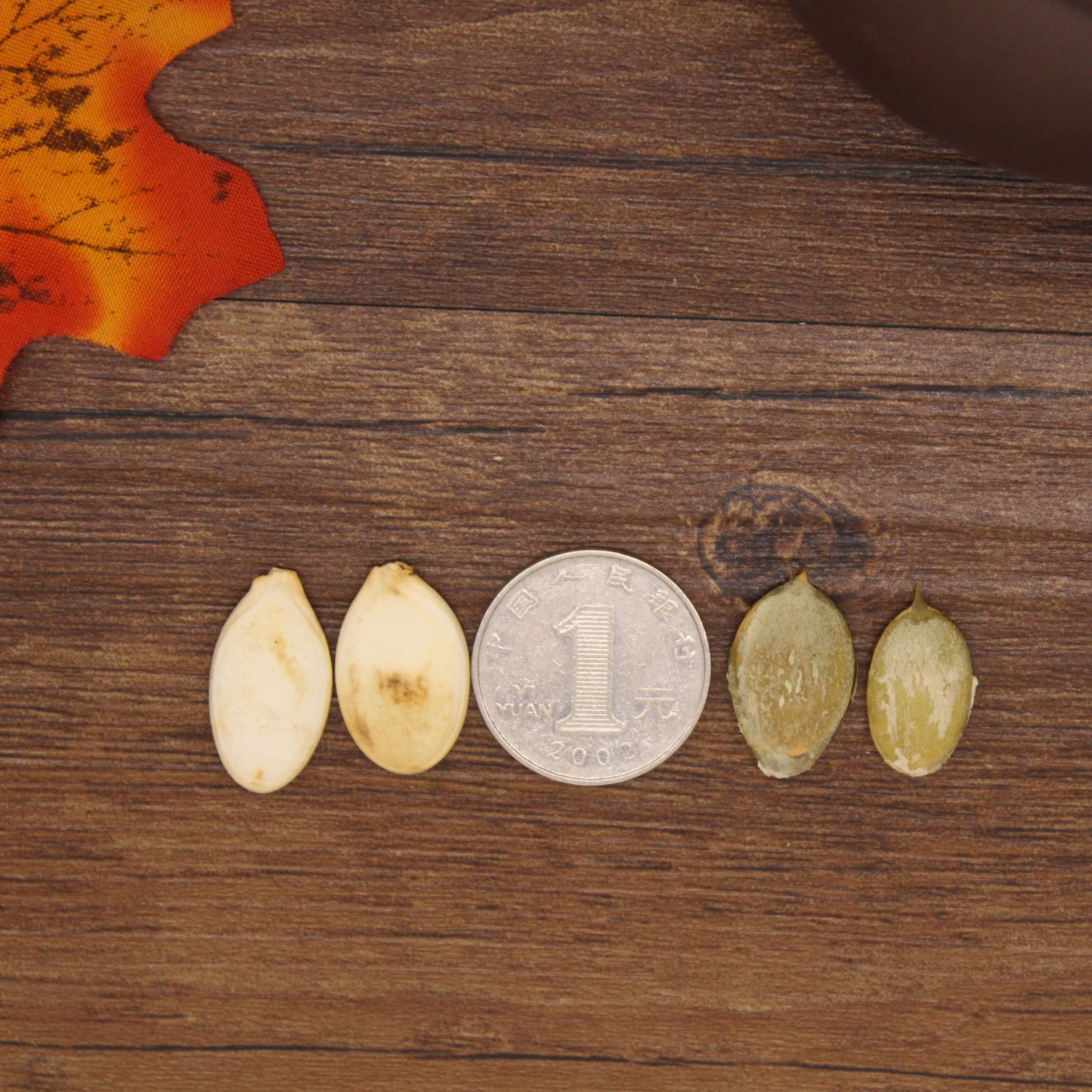 19年新产 双鸭山宝清大白板 原味南瓜子 现炒现卖粒大饱满3斤包邮