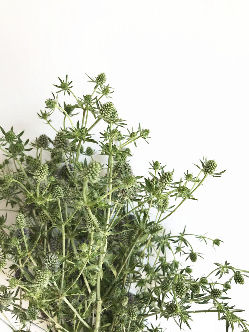 爱情迷你高山多头头小刺芹家用婚礼办公室插花鲜花速递同城