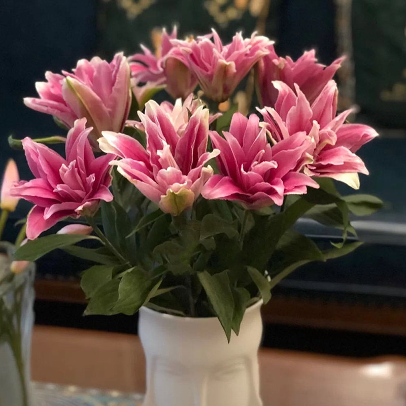 艾琳娜重瓣百合鲜花多瓣真花水养云南发辫家用鲜花速递(同城)