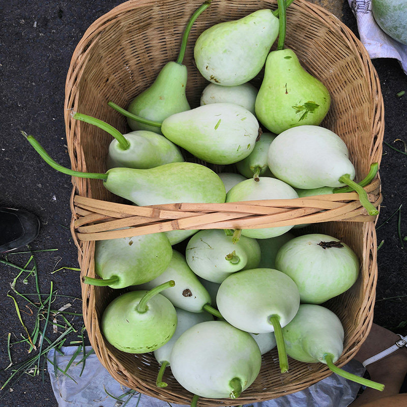 葫芦新鲜蔬菜瓜田蒲菜短瓠瓠瓜瓜包其它