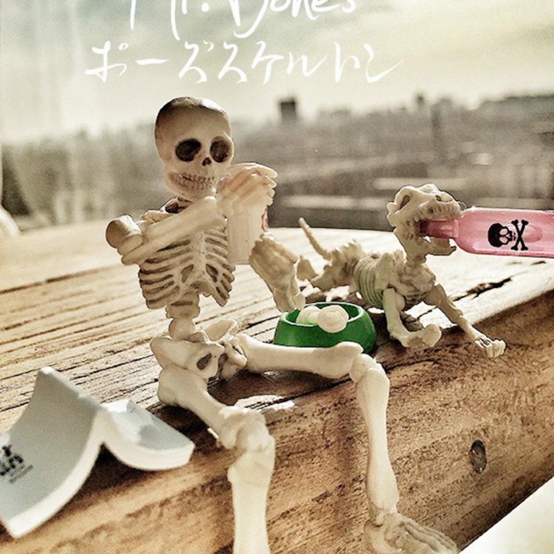骷髅出口日本骨头头人全身关节可动桌面摆件装饰摆件