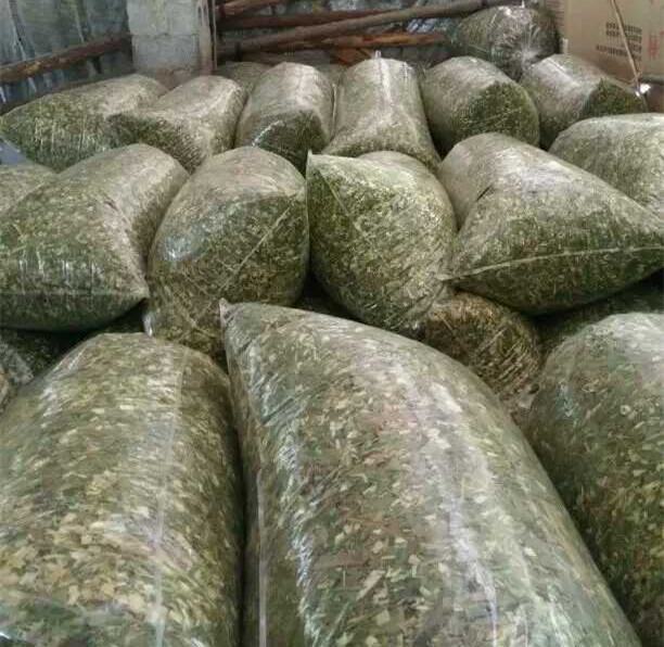 单向排气阀微贮黄贮青贮袋青秸秆发酵袋子饲料储存袋50条包邮