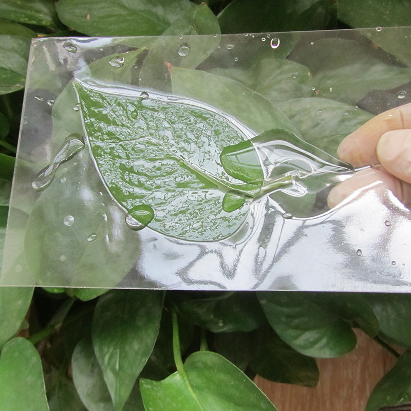 树叶标本塑封膜冷裱膜6寸a4a6手工自粘相片纸照片植物书签冷表膜