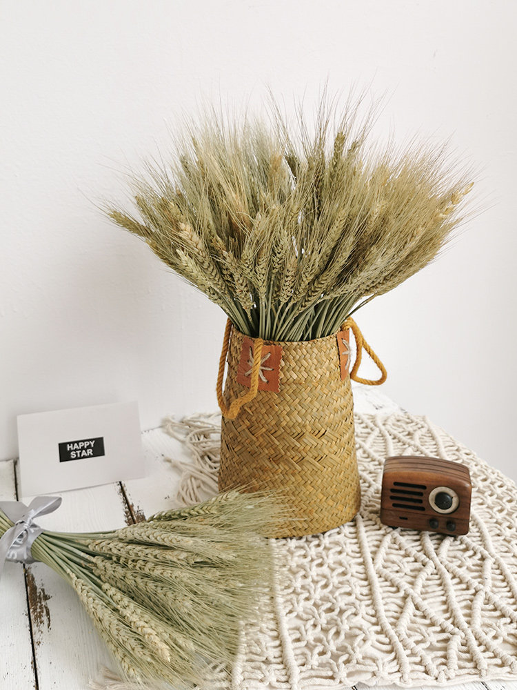 天然大麦麦穗干花客厅diy花束摆件创意文艺干花