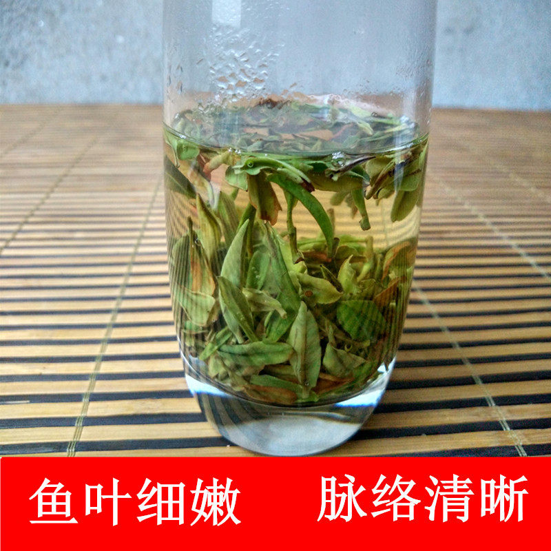 福鼎白茶白银针鱼叶2022年新茶正宗管阳日晒头春其它白茶