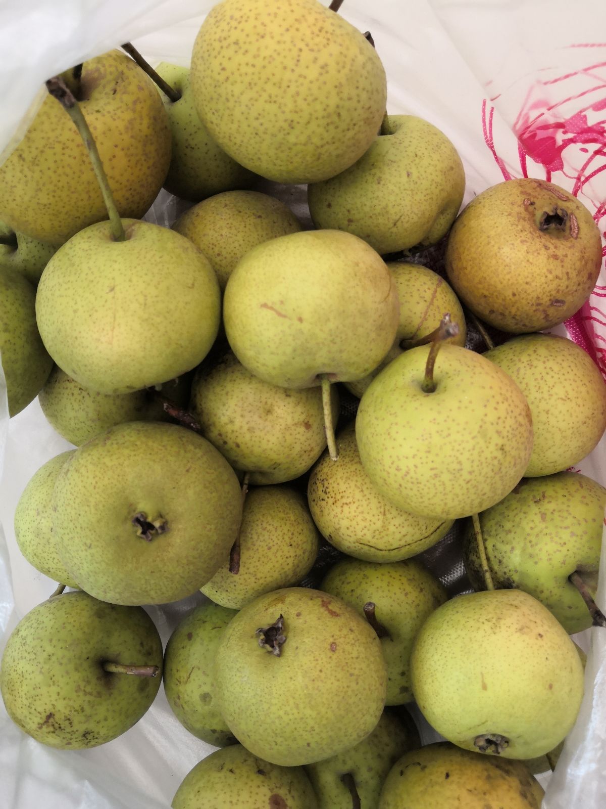 新货酸梨3斤包邮优质安新鲜冰糖泡酸甜水果茶梨