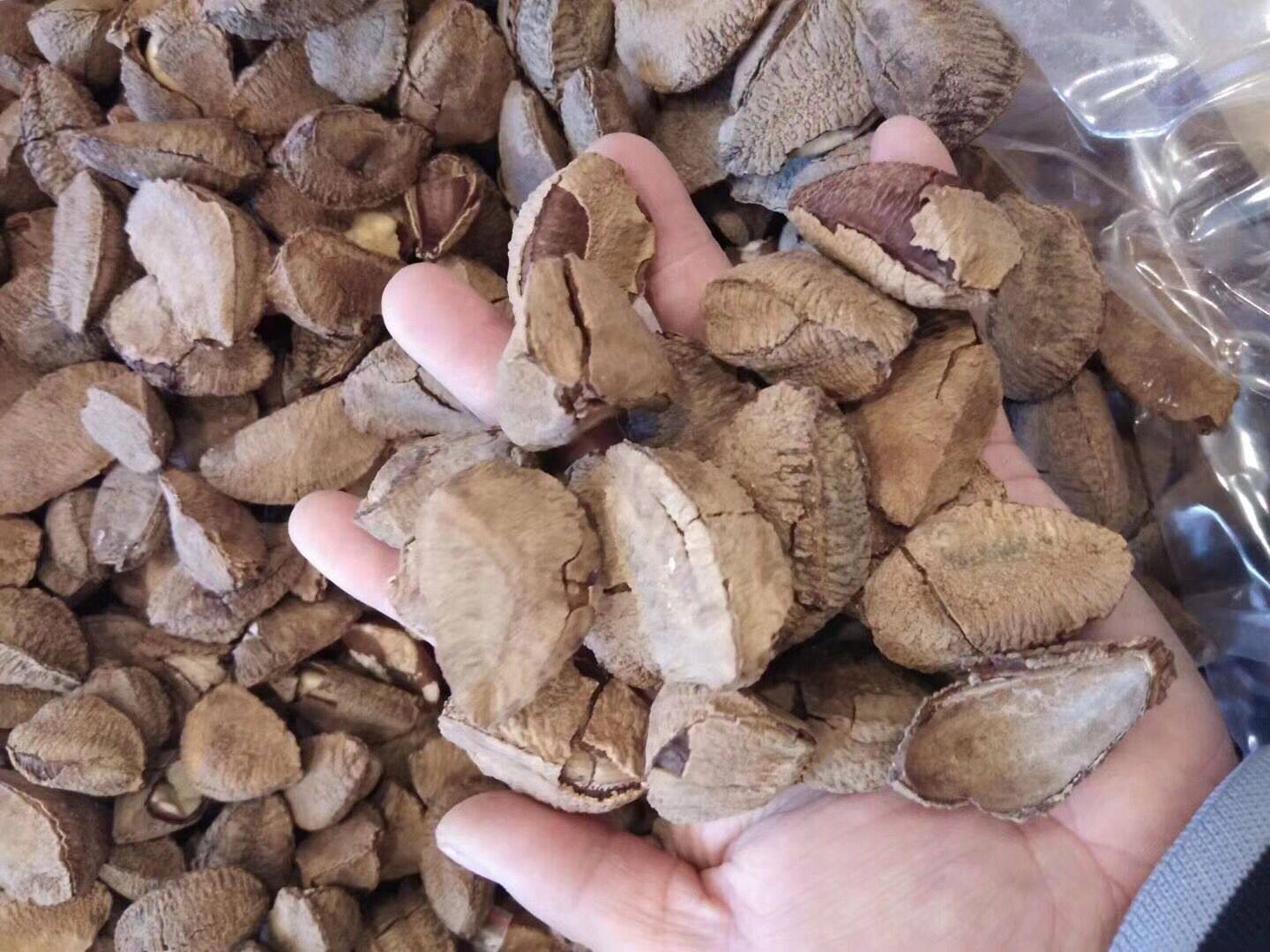 零食新疆特产鲍鱼沙漠巴西坚果孕妇500g散装鲍鱼果