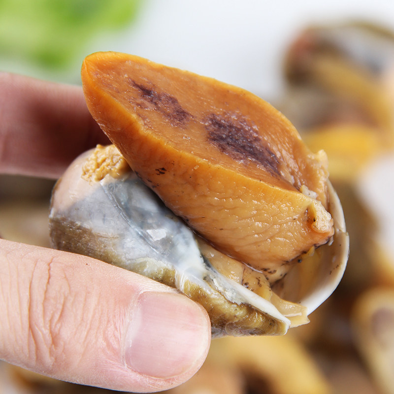 老婆脚假鲍鱼螺海鲜海蜗牛鲍螺鲜活速冻黄金鲍珍珠鲍贝类水产