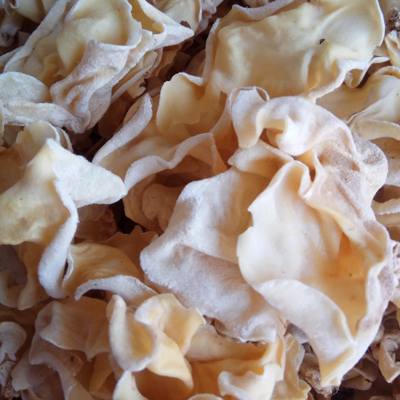 武夷山福建武夷山竹耳白竹菇特产干货食用菌酒店银耳