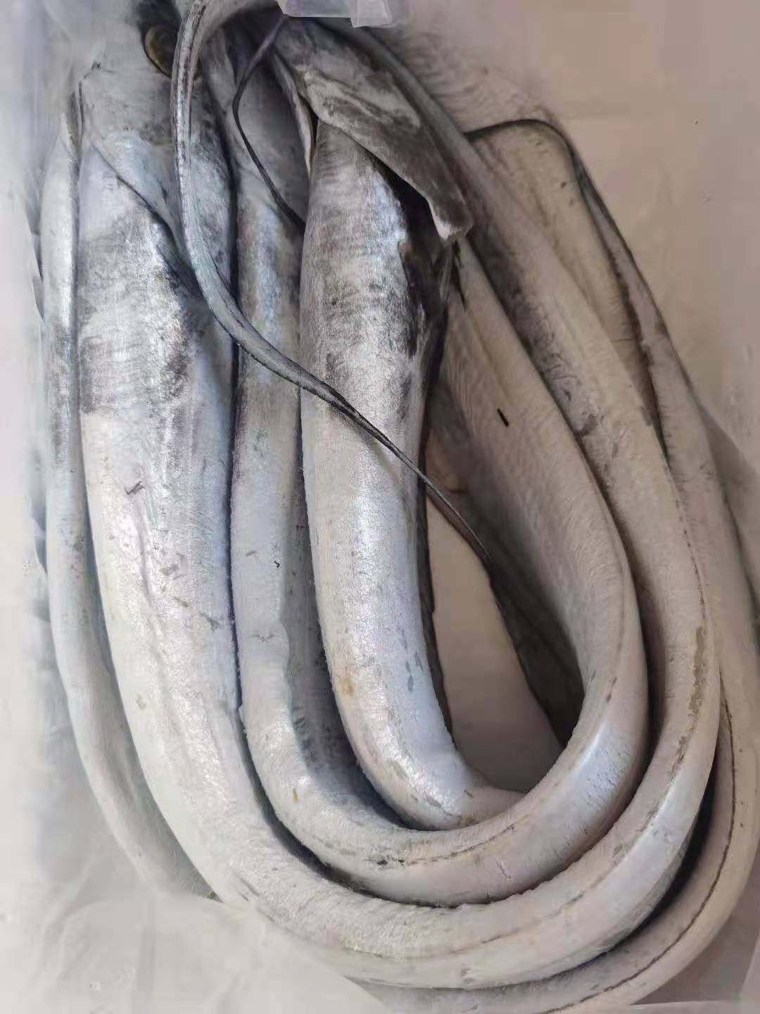 1012条8斤56条4斤带鱼刀鱼营口渤海湾鲜捕秋刀鱼