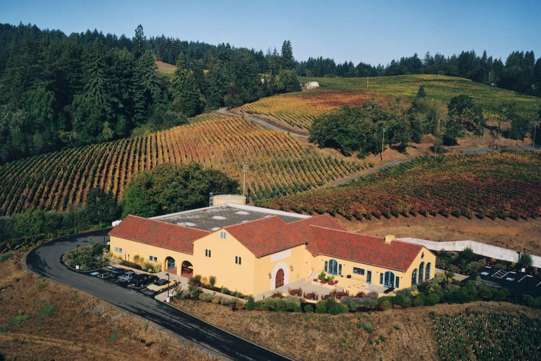 桃乐丝特选公牛血干红葡萄酒 torres gran sangre de toro