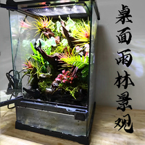 Tropical Rainforest Plant Eco-Cylinder Tabletop Forest Creative Bonsai Finished Life Tree Micro Landscape Flowing Water Pendulum