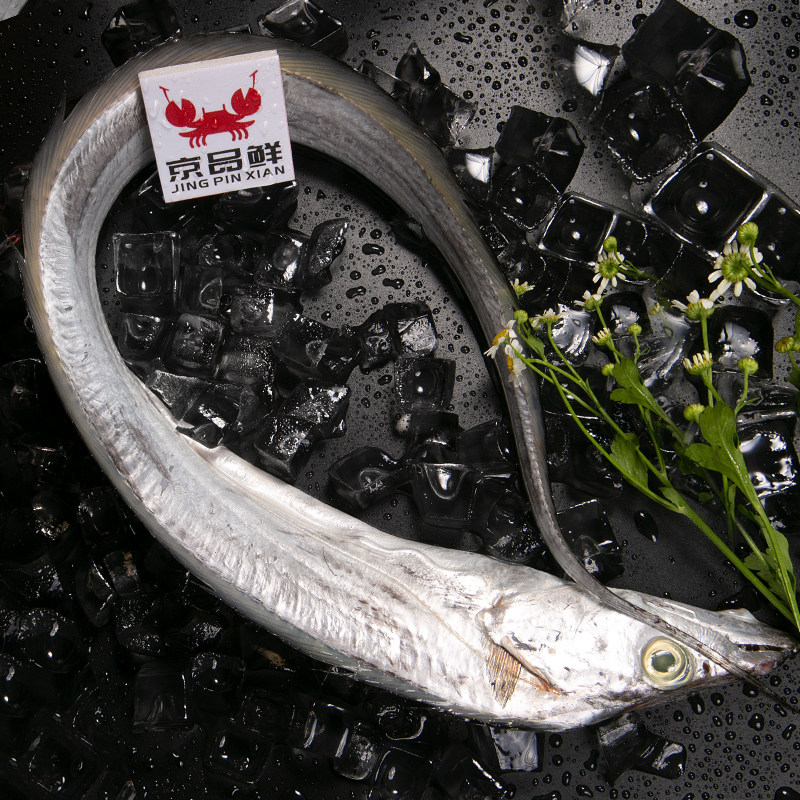 每份2斤一条带鱼新鲜舟山白眼钓带整条发货带鱼