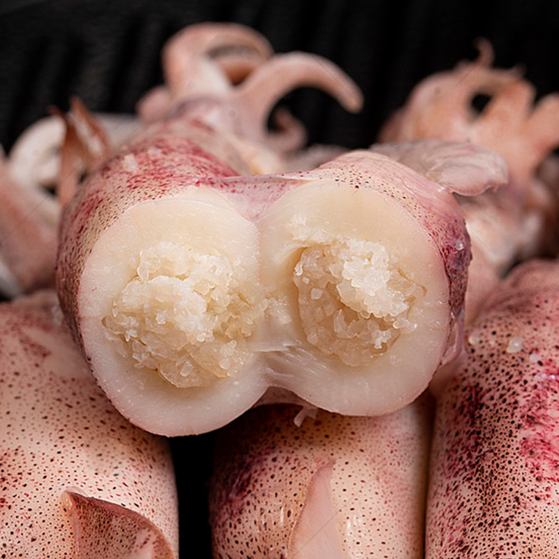 冷冻全籽籽乌海鲜野生生满笔管新鲜海兔子墨鱼冷冻墨鱼