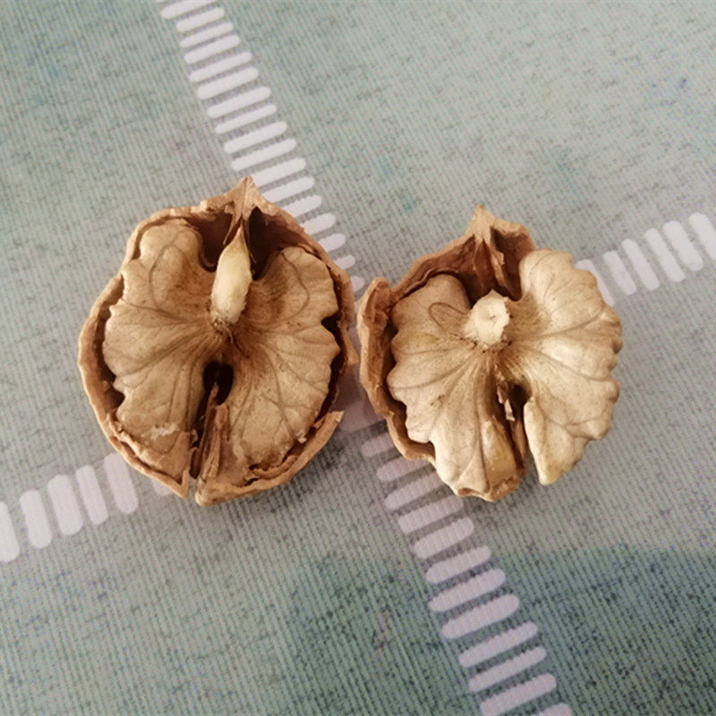 核桃云南薄皮2021年新货纸皮孕妇果大中果可选纸皮