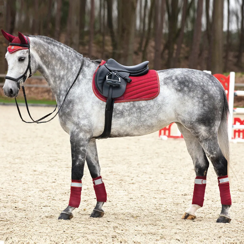 爱尔兰牵马备马装备马匹套装4件笼头绑腿horsewear马绑腿