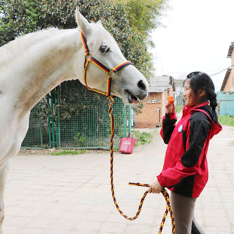 牵马笼头马绳彩色耐用柔软舒适不伤手国旗颜色牵马
