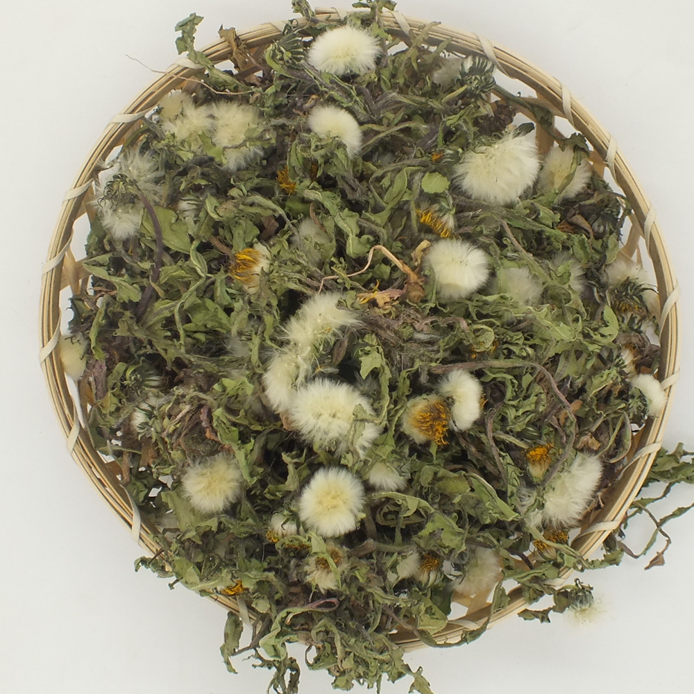 中药材 蒲公英 农家野生整棵蒲公英茶婆婆丁整棵500g包邮