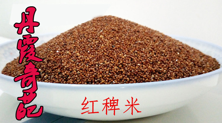 贵州赤水纯天然种植红稗米鸭脚粟红小米米山稗子其它粮食