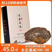 Long White Mountain Pure Wild Pine Needle Lingzhi Pine Needle Layer Pore Fungus Rinzhi 2 pieces