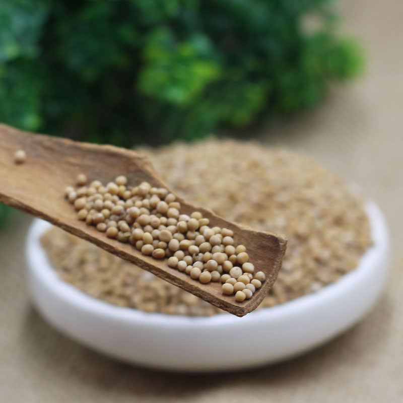 食用白芥末籽酱新货芥末籽白芥子野生黄白芥籽生芥末粉500克包邮