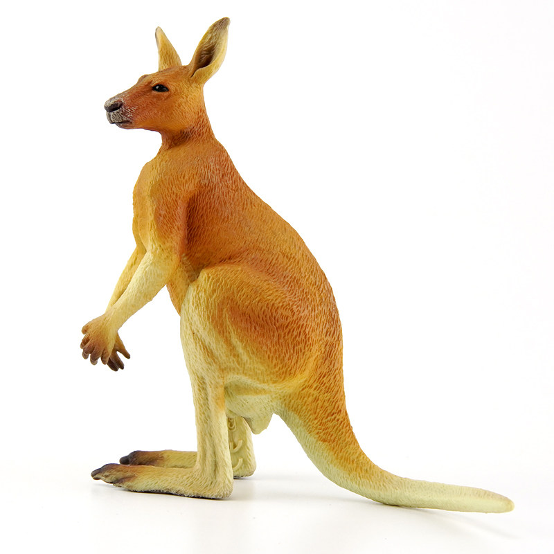 正品英国collecta你他袋鼠澳洲仿真野生动物模型玩具仿真