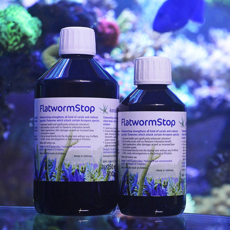 德国zeoflatwormstop海缸sps硬骨扁虫杀手杀扁鱼缸净水剂