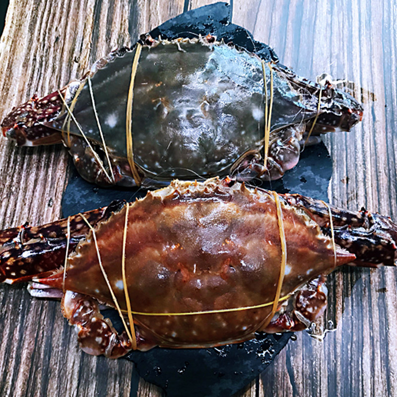 3斤装舟山活冻梭子蟹公蟹海蟹螃蟹白蟹液氮急冻水产海鲜68两只1