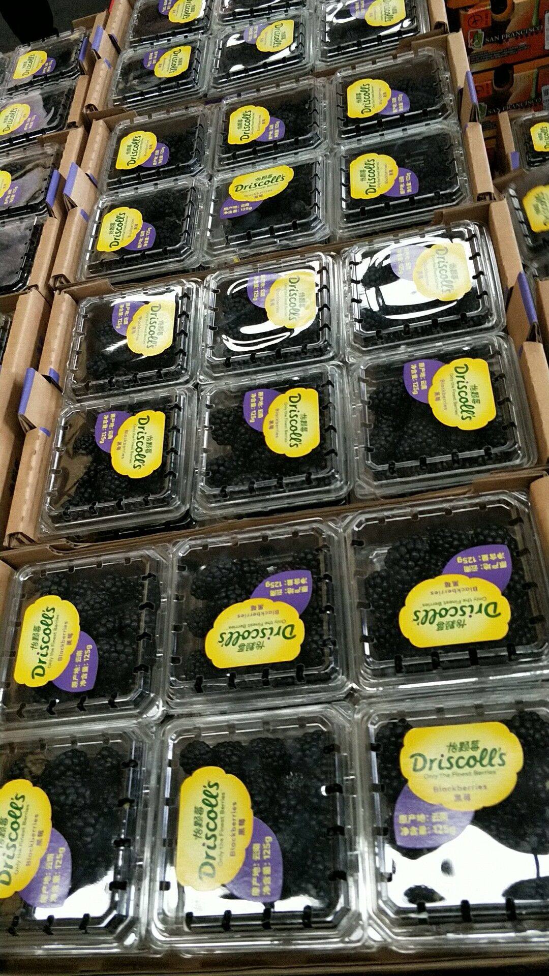 新鲜黑莓鲜果4盒装 黑莓覆盆子水果黑树莓果桑葚果发顺丰