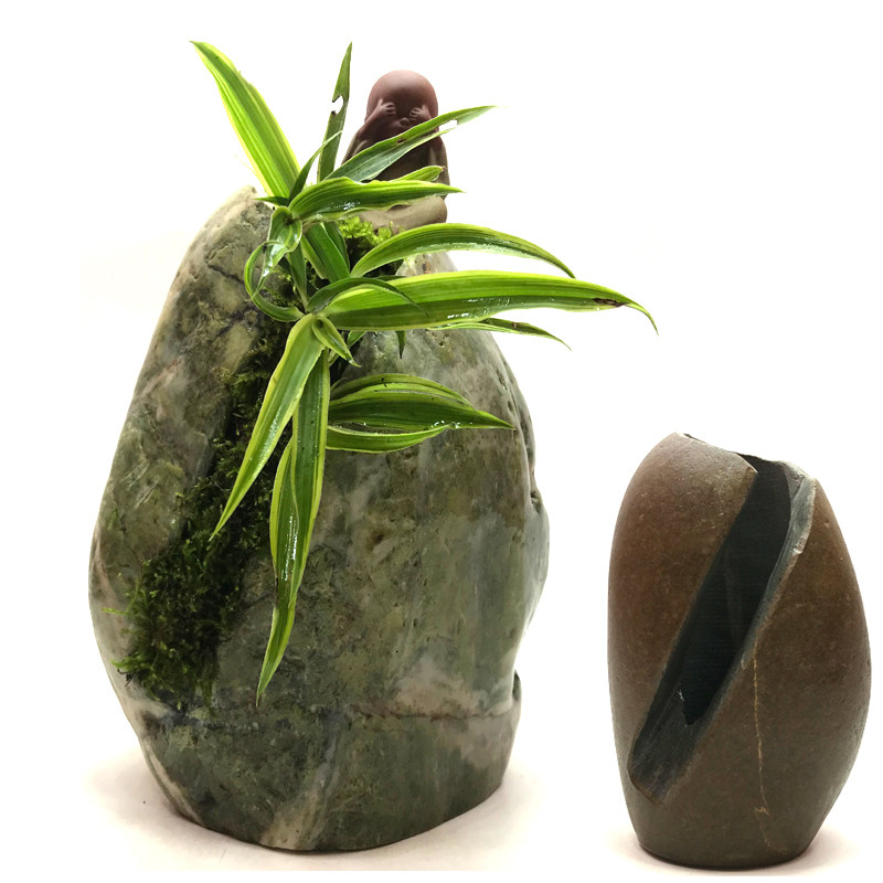 鹅卵六月雪景观绿植菖蒲石菖蒲鹅卵石花盆装饰造景花盆