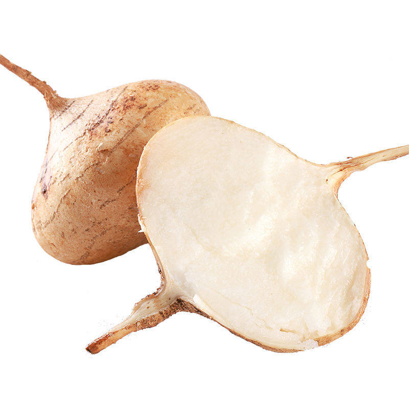 云南白地瓜沙葛根自种地瓜蔬菜现挖水果时令当季番薯