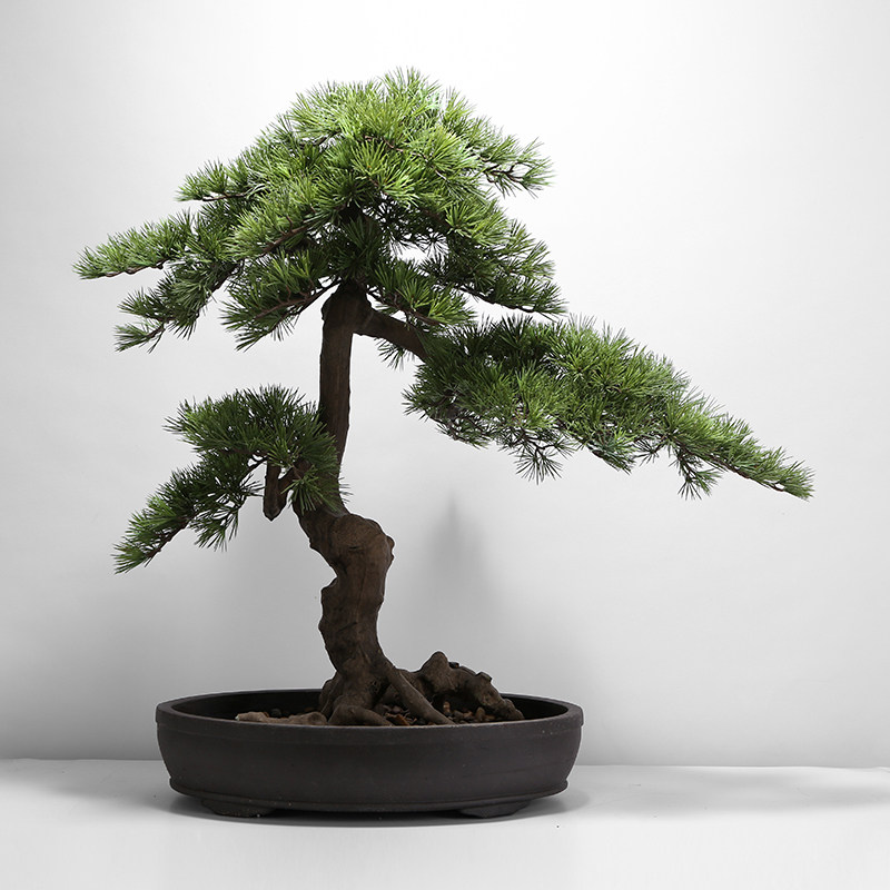 中式日式仿真迎客松日本黑松长针绿植盆景假树仿真植物盆景