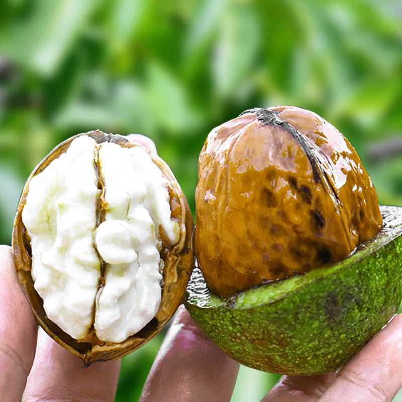 2020年新鲜核桃现摘嫩去绿皮青皮湿薄皮秦岭农家野生孕妇核桃5斤