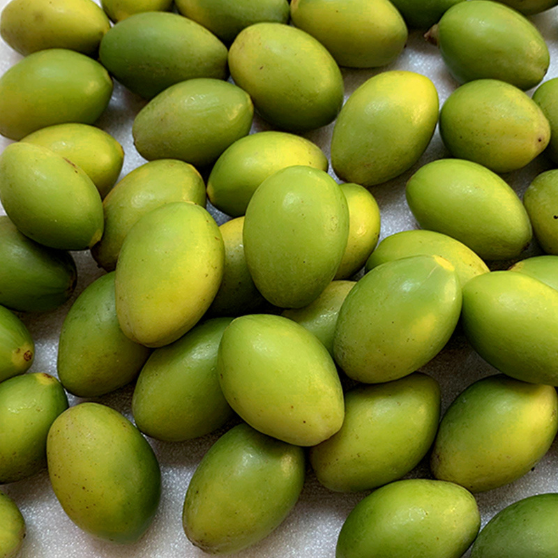 橄榄潮汕现摘新鲜孕妇水果生吃檀香酥脆甜种其它