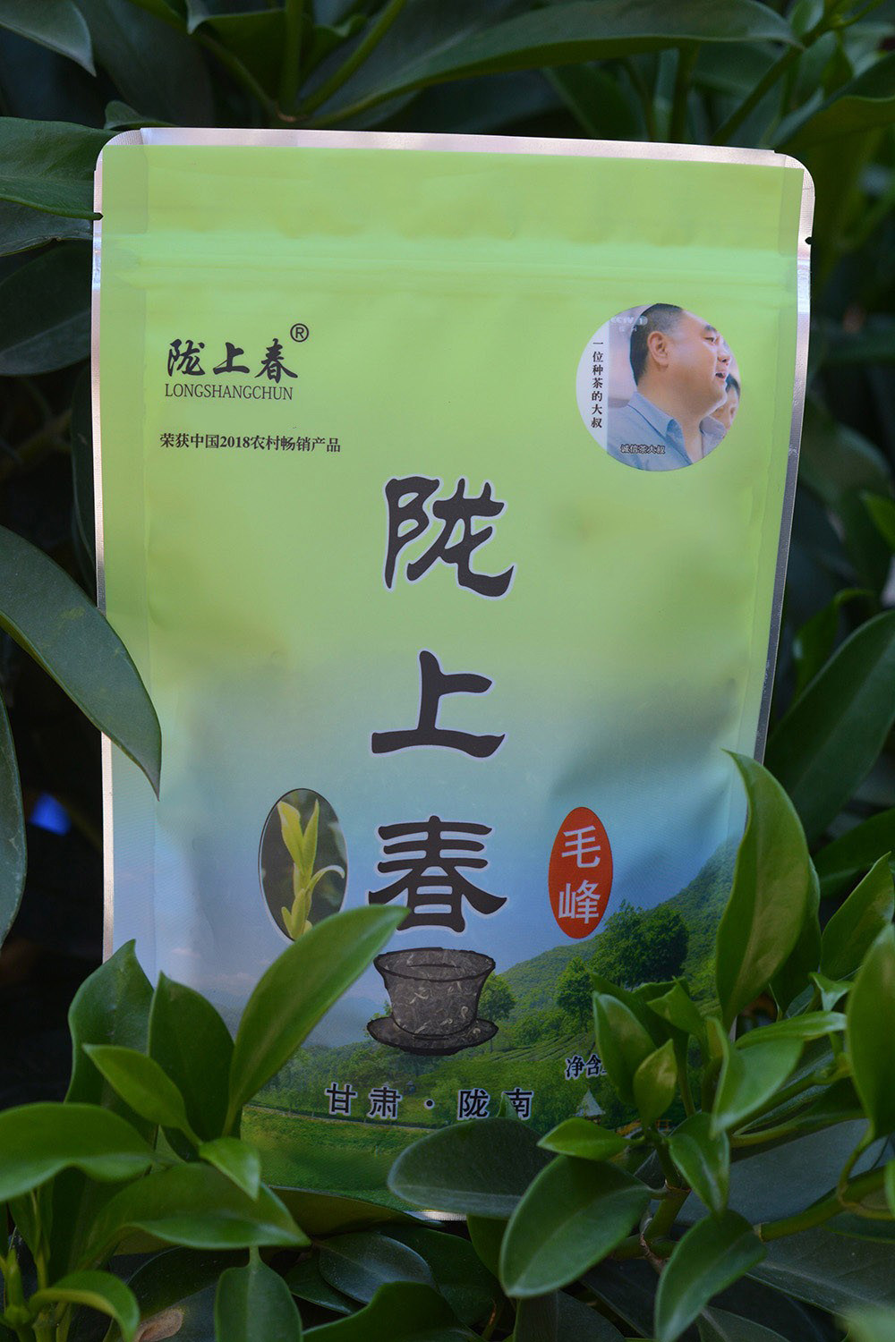 2022新茶上市甘肃陇南茶叶文县碧口毛尖新品黄山毛峰