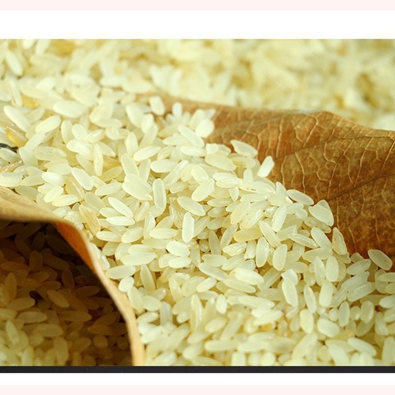 梅州客家特产五华菩米熟米潭下低糖大米散装大米