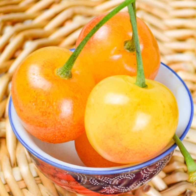 樱桃黄樱桃黄水晶黄蜜山东烟台台大国产新鲜水果车厘子