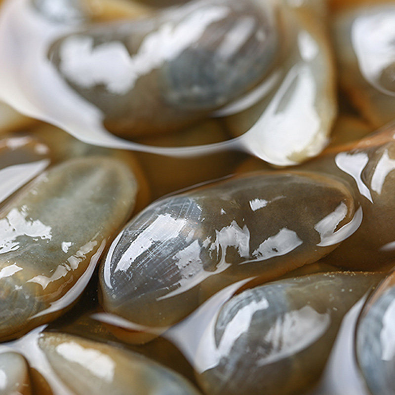 宁波醉泥正宗重良5a新鲜黄泥螺无沙爽爽脆泥螺